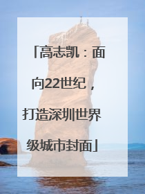 高志凯：面向22世纪，打造深圳世界级城市封面