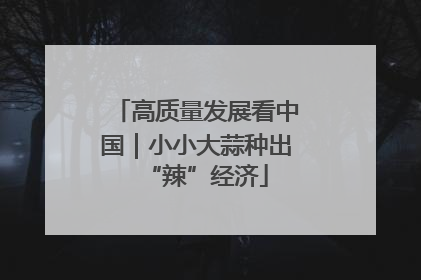 高质量发展看中国｜小小大蒜种出“辣”经济