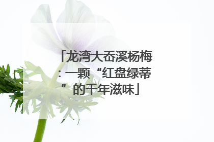 龙湾大岙溪杨梅：一颗“红盘绿蒂”的千年滋味