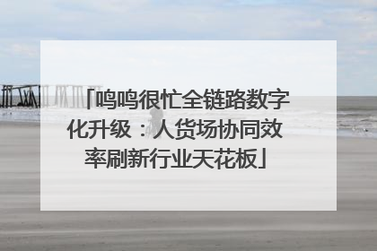 鸣鸣很忙全链路数字化升级：人货场协同效率刷新行业天花板