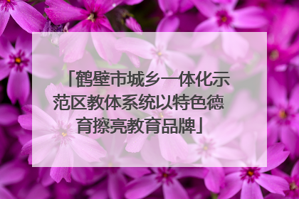 鹤壁市城乡一体化示范区教体系统以特色德育擦亮教育品牌