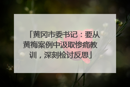 黄冈市委书记：要从黄梅案例中汲取惨痛教训，深刻检讨反思