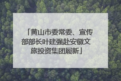 黄山市委常委、宣传部部长叶建强赴安徽文旅投资集团履新