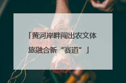 黄河岸畔闯出农文体旅融合新“赛道”