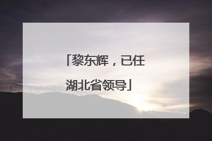 黎东辉，已任湖北省领导