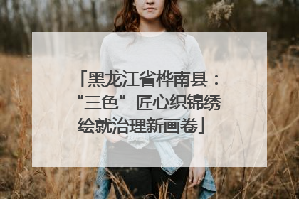 黑龙江省桦南县：“三色”匠心织锦绣 绘就治理新画卷