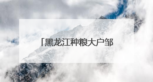 黑龙江种粮大户邹德海：保护“耕地中的大熊猫”黑土地，让增产可持续