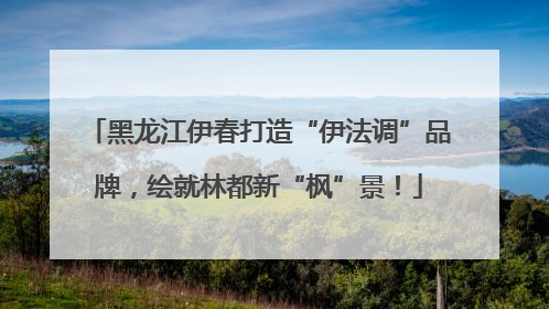 黑龙江伊春打造“伊法调”品牌，绘就林都新“枫”景！
