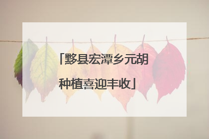 黟县宏潭乡元胡种植喜迎丰收