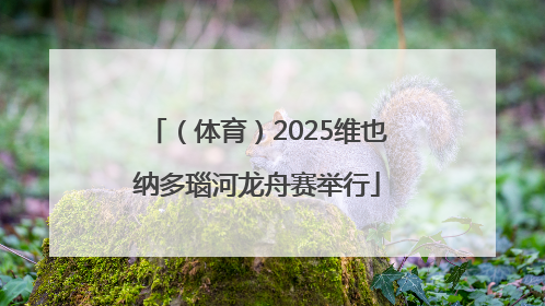 （体育）2025维也纳多瑙河龙舟赛举行
