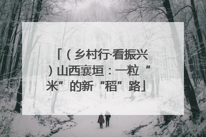 （乡村行·看振兴）山西襄垣：一粒“米”的新“稻”路