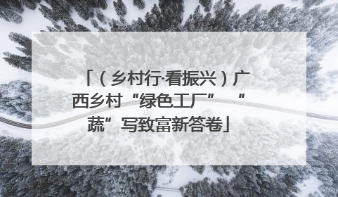 （乡村行·看振兴）广西乡村“绿色工厂” “蔬”写致富新答卷