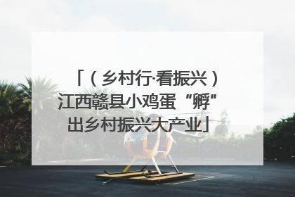 （乡村行·看振兴）江西赣县小鸡蛋“孵”出乡村振兴大产业