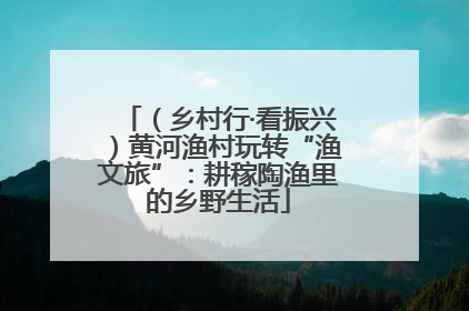 （乡村行·看振兴）黄河渔村玩转“渔文旅”：耕稼陶渔里的乡野生活