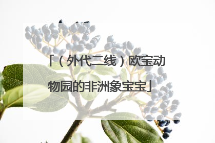 （外代二线）欧宝动物园的非洲象宝宝