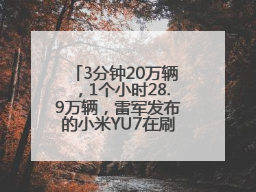 3分钟20万辆，1个小时28.9万辆，雷军发布的小米YU7在刷新汽车界记录？