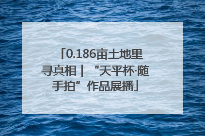 0.186亩土地里寻真相｜“天平杯·随手拍”作品展播