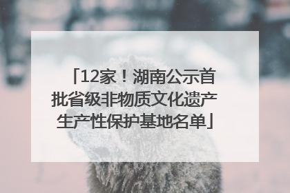 12家！湖南公示首批省级非物质文化遗产生产性保护基地名单