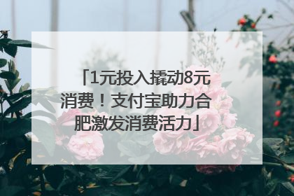 1元投入撬动8元消费！支付宝助力合肥激发消费活力