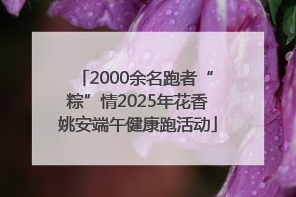 2000余名跑者“粽”情2025年花香姚安端午健康跑活动