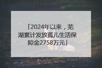 2024年以来，芜湖累计发放孤儿生活保障金2758万元
