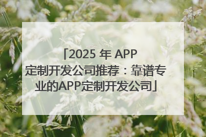2025 年 APP 定制开发公司推荐：靠谱专业的APP定制开发公司