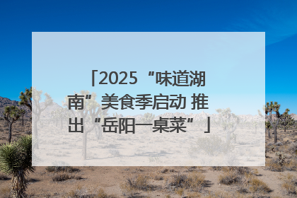 2025“味道湖南”美食季启动 推出“岳阳一桌菜”