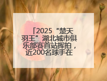 2025“楚天羽王”湖北城市俱乐部赛首站挥拍，近200名球手在黄石同场竞技