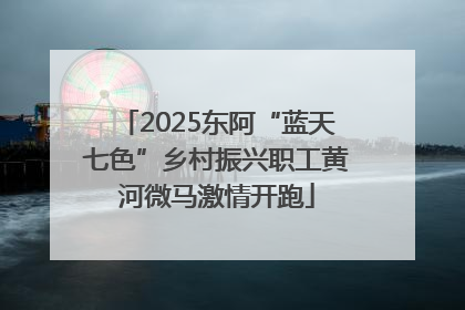 2025东阿“蓝天七色”乡村振兴职工黄河微马激情开跑