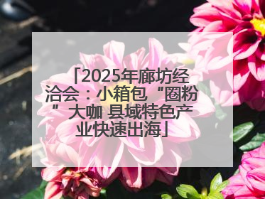 2025年廊坊经洽会：小箱包“圈粉”大咖 县域特色产业快速出海