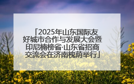 2025年山东国际友好城市合作与发展大会暨印尼楠榜省·山东省招商交流会在济南槐荫举行