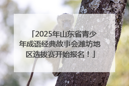 2025年山东省青少年成语经典故事会潍坊地区选拔赛开始报名！