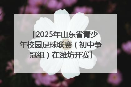 2025年山东省青少年校园足球联赛（初中争冠组）在潍坊开赛