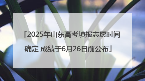 2025年山东高考填报志愿时间确定 成绩于6月26日前公布