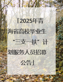 2025年青海省高校毕业生“三支一扶”计划服务人员招募公告