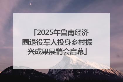 2025年鲁南经济圈退役军人投身乡村振兴成果展销会启幕