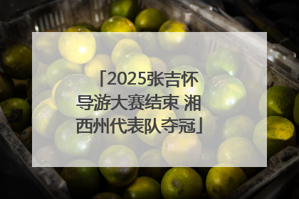 2025张吉怀导游大赛结束 湘西州代表队夺冠