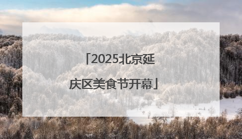 2025北京延庆区美食节开幕