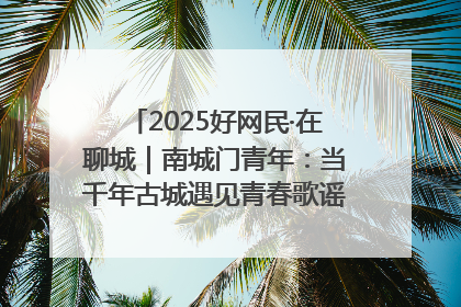 2025好网民·在聊城｜南城门青年：当千年古城遇见青春歌谣 一湖碧水见证的“聊城式浪漫”