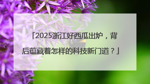 2025浙江好西瓜出炉，背后蕴藏着怎样的科技新门道？