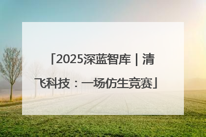 2025深蓝智库｜清飞科技：一场仿生竞赛