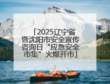 2025辽宁省暨沈阳市安全宣传咨询日“应急安全市集”火爆开市
