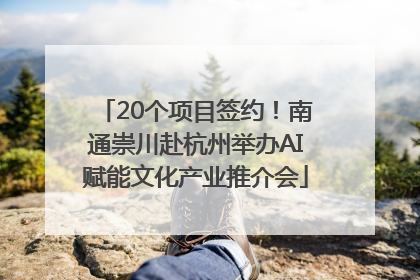 20个项目签约！南通崇川赴杭州举办AI赋能文化产业推介会