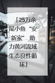 25万余尾小鱼“安新家” 助力黄河流域生态良性循环