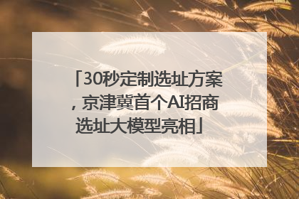 30秒定制选址方案，京津冀首个AI招商选址大模型亮相