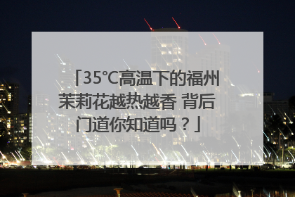 35℃高温下的福州茉莉花越热越香 背后门道你知道吗？