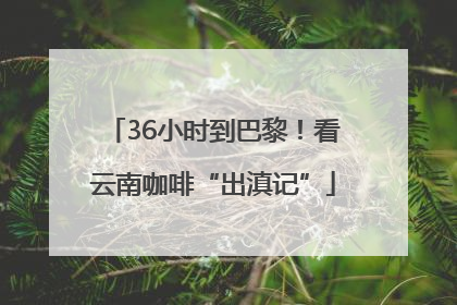 36小时到巴黎！看云南咖啡“出滇记”
