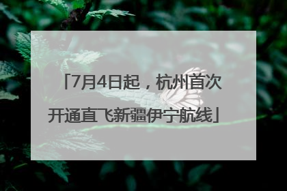 7月4日起，杭州首次开通直飞新疆伊宁航线