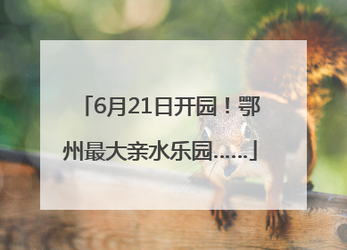 6月21日开园！鄂州最大亲水乐园……