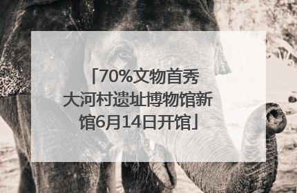 70%文物首秀 大河村遗址博物馆新馆6月14日开馆